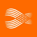 Dong-I.T. B.V. logo